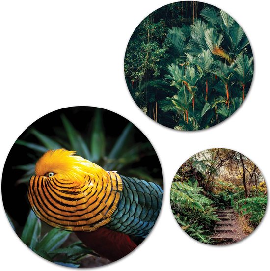 Forex Muurcirkel Set - Set Tropische Vogel Jungle - Set van 3 Wandcirkels met Ophangsystemen
