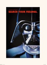 STAR WARS DARTH VADER FRASE - Art Collector Print 30x40 cm