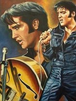 Denza - Diamond painting Elvis zingend 40 x 50 cm volledige bedrukking ronde steentjes direct leverbaar the king of rock - elvis - zanger - Elvis - presley - pop - rock -
