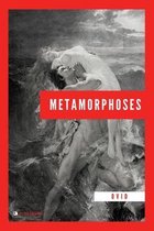 Livre Métamorphoses d'Ovide avec une peinture d'un homme sauvant une femme des vagues agitées.