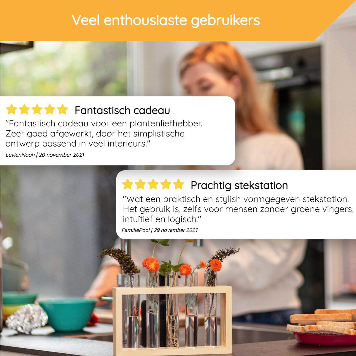 2 Stuks Propagatiestation Reageerbuisjes Voor Bloemen - Hout En Kunststof Wandvaas, Ruimtebesparend