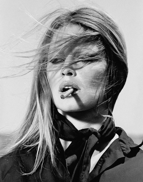 Luxe Wanddecoratie - Fotokunst Brigitte Bardot- Galerie kwaliteit Plexiglas 5mm. - Blind Aluminium Ophangsysteem - 60 x 90 - Akoestisch en UV Werend - inclusief verzending -