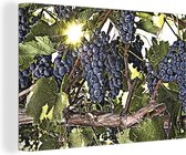 Canvas Schilderij Een illustratie van een wijnstok vol met druiven - 30x20 cm - Wanddecoratie