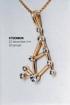 STEENBOK sterrenbeeld gouden hangertje met de exacte stand van het sterrenbeeld Steenbok, weergegeven door fonkelende Zirkonia® kristallen - Met bijpassend gouden Venetiaans kettin
