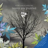 At The Close Of Every Day - Leaves You Puzzled (CD)