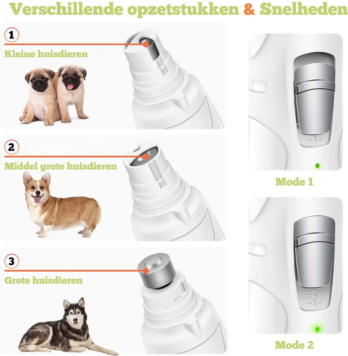 Beeztees Nagelknipper | Hond | Bestellen