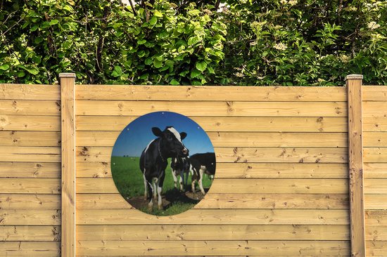 Garden Circle Vaches - Herbe - Animaux - 90x90 cm - Affiche de Jardin Ronde - Extérieur
