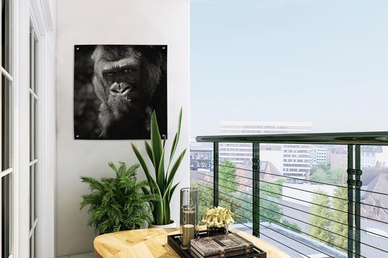 Posters de jardin Gorilla sur fond noir en noir et blanc - 50x50 cm - Toile jardin - Poster extérieur