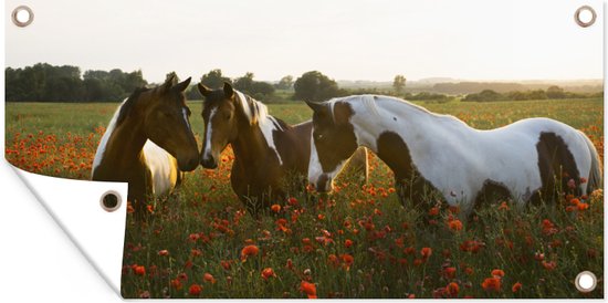 Affiche de clôture Paarden - Fleurs - Soleil - 200x100 cm - Toile de jardin