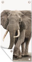 Tuinposter Olifant - Kinderen - Jongens - Dieren - Meisjes - 30x60 cm - Tuindoek - Buitenposter