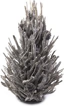 XMAS Tree Whitewash