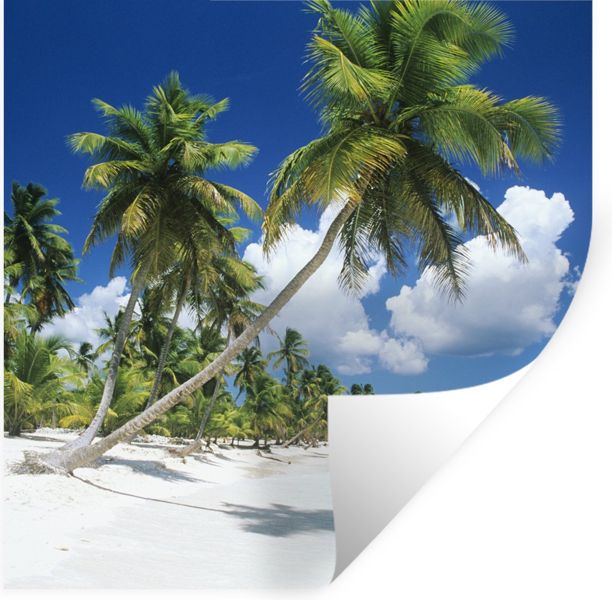 Muurstickers - Sticker Folie - Strand - Palmboom - Tropisch - 120x120 cm - Plakfolie - Muu
