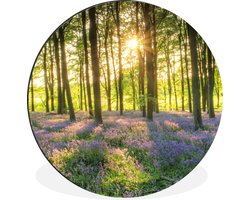 WallCircle - Wandcirkel - Muurcirkel - Lente - Bos - Zon - Aluminium - Dibond - ⌀ 90 cm - Binnen en Buiten