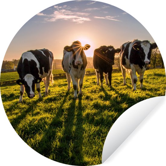 WallCircle - Muurstickers - Behangcirkel - Koe - Gras - Zon - 50x50 cm - Muurcirkel - Zelfklevend - Ronde Behangsticker