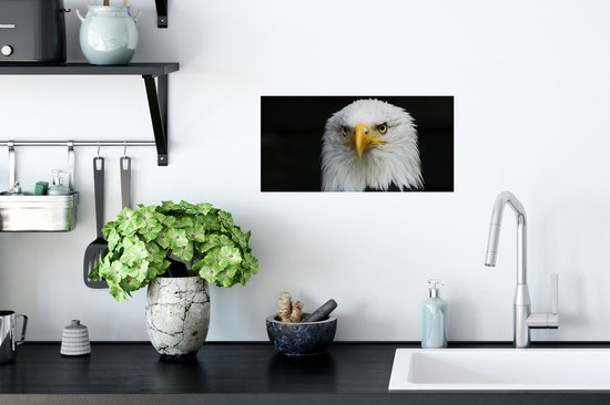 Stickers muraux - Film autocollant - Aigle - Zwart - Wit - 40x20 cm - Film adhésif - Stickers muraux Chambre d'enfant - Papier peint autocollant - Papier peint autocollant - Film autocollant