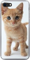 Geschikt voor iPhone SE 2020 hoesje - Kat - Rood - Kitten - Meisjes - Kinderen - Jongens - Kindje - Siliconen Telefoonhoesje