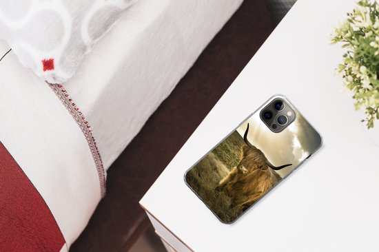 Coque iPhone 13 Pro - Highlander écossais - Soleil - Animaux - Siliconen