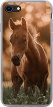 Geschikt voor iPhone 7 hoesje - Paard - Licht - Landschap - Siliconen Telefoonhoesje