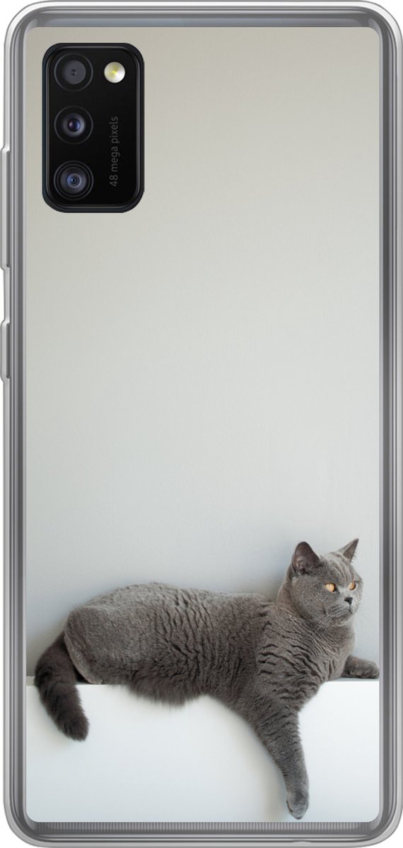 Telefoonhoesje Geschikt voor Samsung Galaxy A41 hoesje - Kat - Britse Korthaar - Grijs - Meisjes - Kinderen - Jongens - Kids - Siliconen Telefoonhoesje Telefoonhoesje