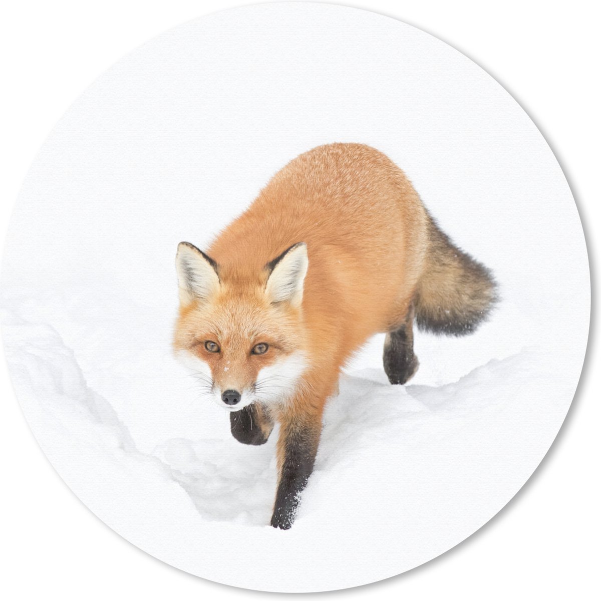 Muismat rond 30x30 cm - Mousepad Vos - Sneeuw - Winter - Ronde muismatten