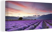 Canvas Schilderij Zonsondergang boven lavendels - 80x40 cm - Wanddecoratie