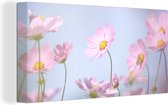 Canvas Schilderij Bloemen - Roze - Buiten - Natuur - 80x40 cm - Wanddecoratie