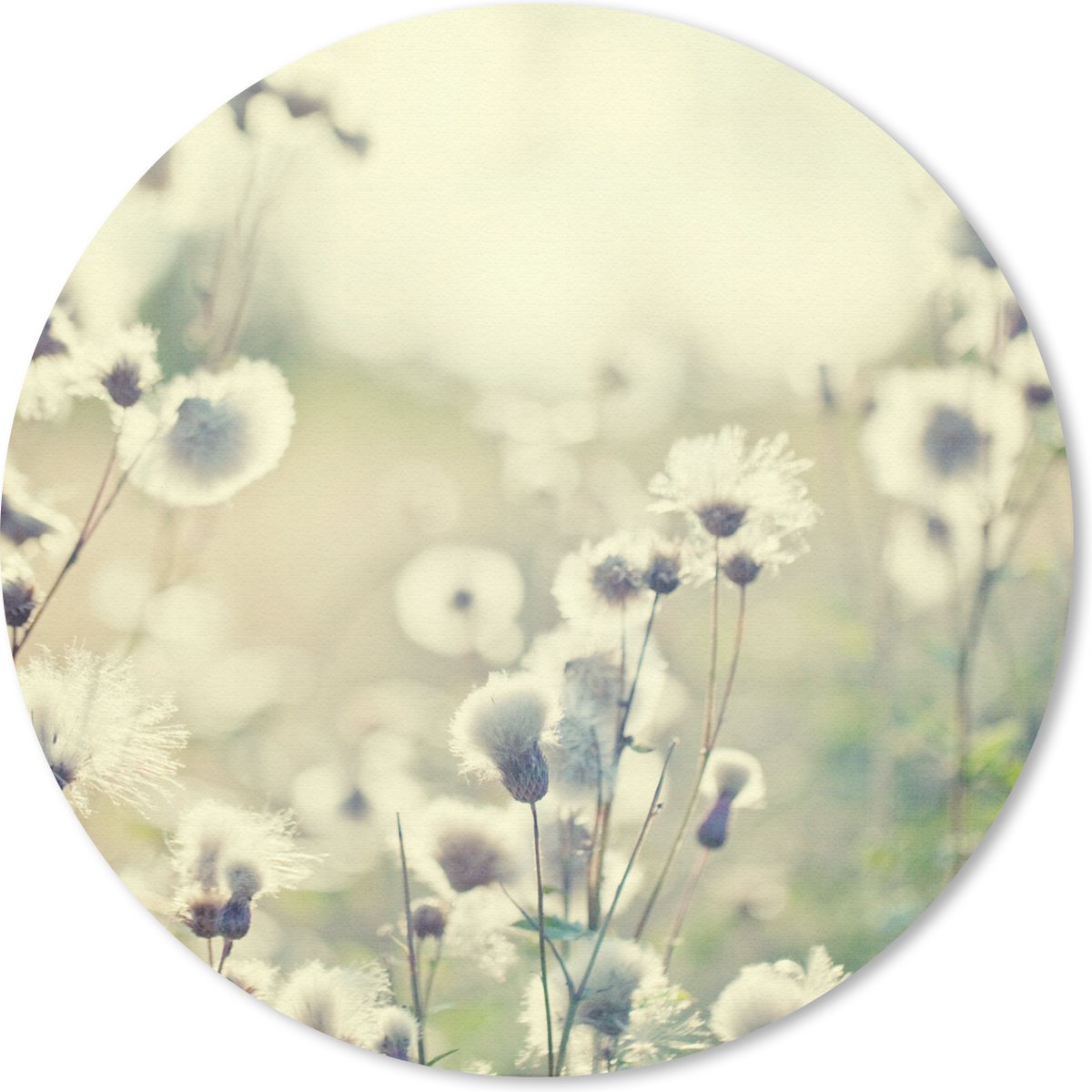Muismat rond 40x40 cm - Mousepad Bloemen - Veld - Wit - Ronde muismatten