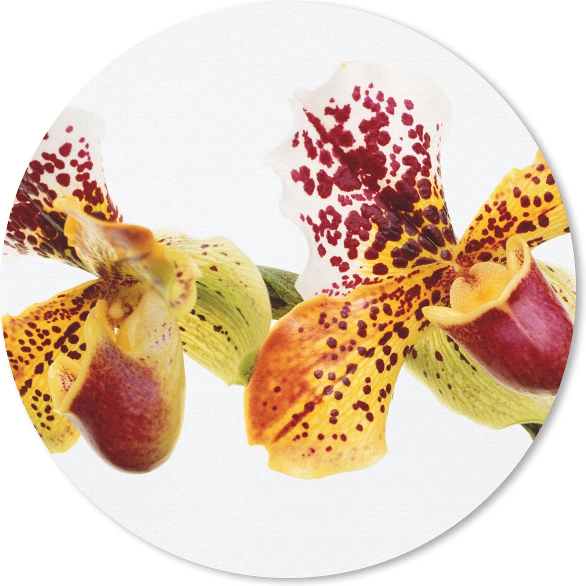 Muismat rond 30x30 cm - Mousepad Oranje Orchidee - Ronde muismatten