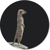 Muismat - Mousepad - Rond - Stokstaartje - Wilde dieren - Zwart - 50x50 cm - Ronde muismat