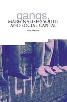 Gangs, Marginalised Youth and Social Captial