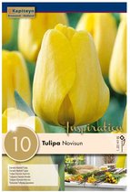 Zakje tulpenbollen - Tulipa 'Novi Sun' - gele tulpen - 10 bollen