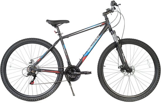 Wheelerz.nl mountainbike 29" - 21 speed van Wheelerz — afbeelding 3