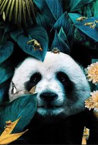 Poster ''Panda'' - Vintage - Muurschilderij - 13 x 18 cm - Leuk met en zonder fotolijst!