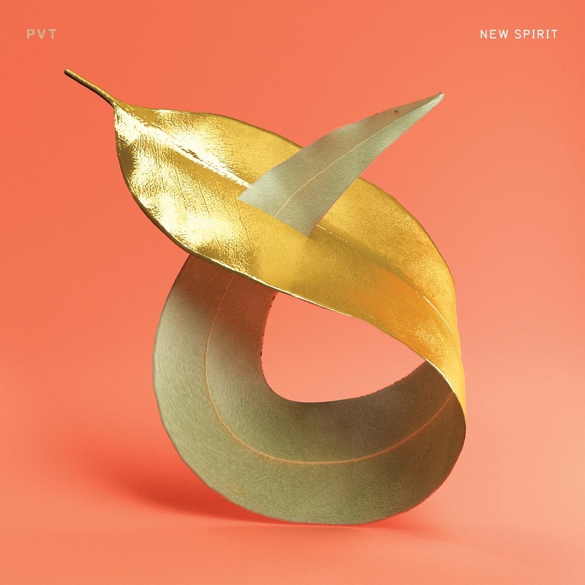 PVT - New Spirit (LP)