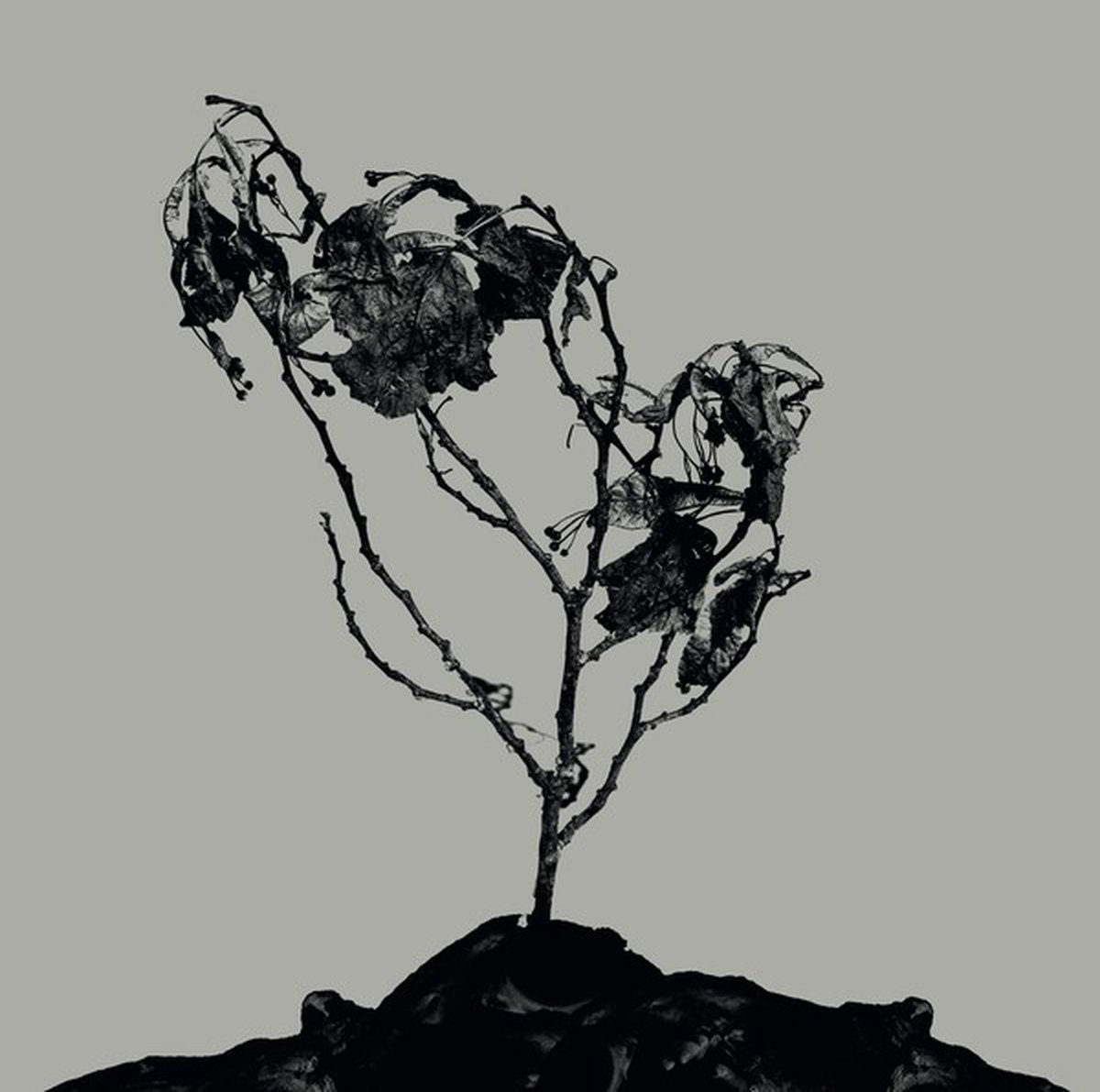 Innerwoud & Treha Sektori - Innerwoud + Treha Sektori (10" LP) (Limited Edition)