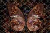 120 x 80 cm - Glasschilderij - Vlinder  - schilderij fotokunst - foto print op glas
