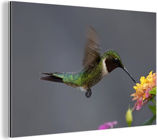 Kit DIY Broderie Diamant 5D Grand Format - Motif Colibri Et Fleurs 180x60 Cm - Décoration Murale Salon Chambre