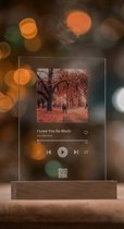 Spotify Glass Art album frame muziek plaatje