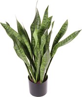 Vrouwentong - Sanseveria - Kunstplant - 21 bladeren, 80cm in pot - Ø 30cm