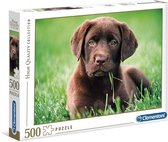 legpuzzel High Quality - Labrador 500 stukjes