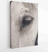 Canvas schilderij -  Productnummer 2332836 - 50*40 Vertical