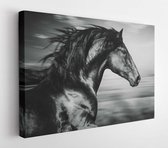 Canvas schilderij - Spanish running horse portrait, black and white photo  -    760999816 - 115*75 Horizontal