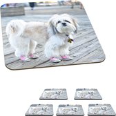 Onderzetters voor glazen - Een Shih Tzu hond met roze schoentjes aan - 10x10 cm - Glasonderzetters - 6 stuks