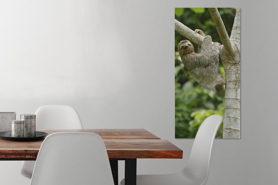 Peinture sur toile Un paresseux s'accroche à une branche - 40x80 cm - Décoration murale Art