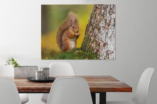 Tableau sur toile Écureuil roux à côté de l'arbre - 80x60 cm - Décoration murale