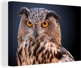 Peinture sur toile Un gros plan d'un hibou marron - 30x20 cm - Décoration murale Art