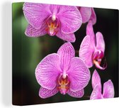 Canvas Schilderij Roze orchidee - 120x90 cm - Wanddecoratie