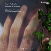 Philippe Herreweghe Collegium Vocal - Purcell Funeral Sentences (CD)