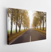 Canvas schilderij - The asphalted road to an autumn season. A fog, low visibility, small depth of sharpness -     96635284 - 80*60 Horizontal