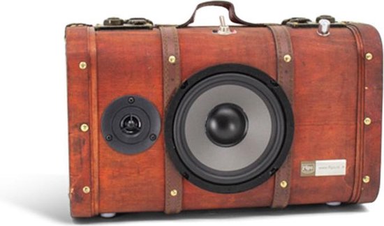Uniek kado - Vintage - Bluetooth 5.0 - speakers in koffer - oplaadbare  batterij | bol.com